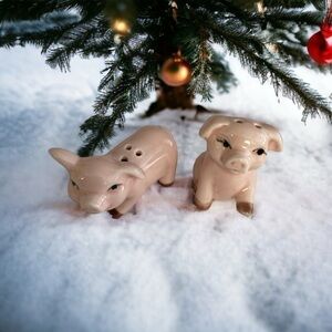 Salt & Pepper mini ceramic shakers 🐖 🐷